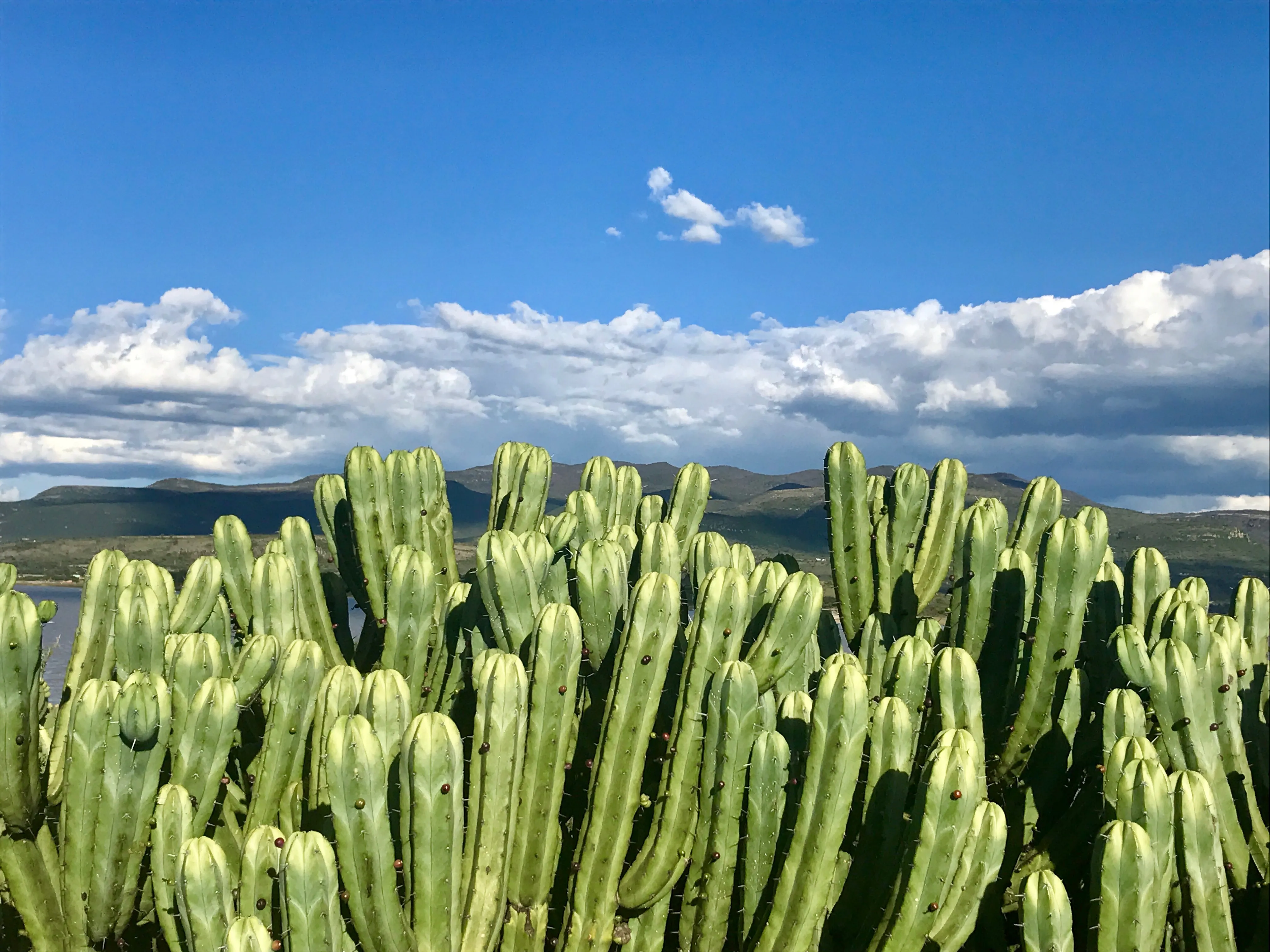 Plano de zona núcleo de conservación de Reserva Santa María