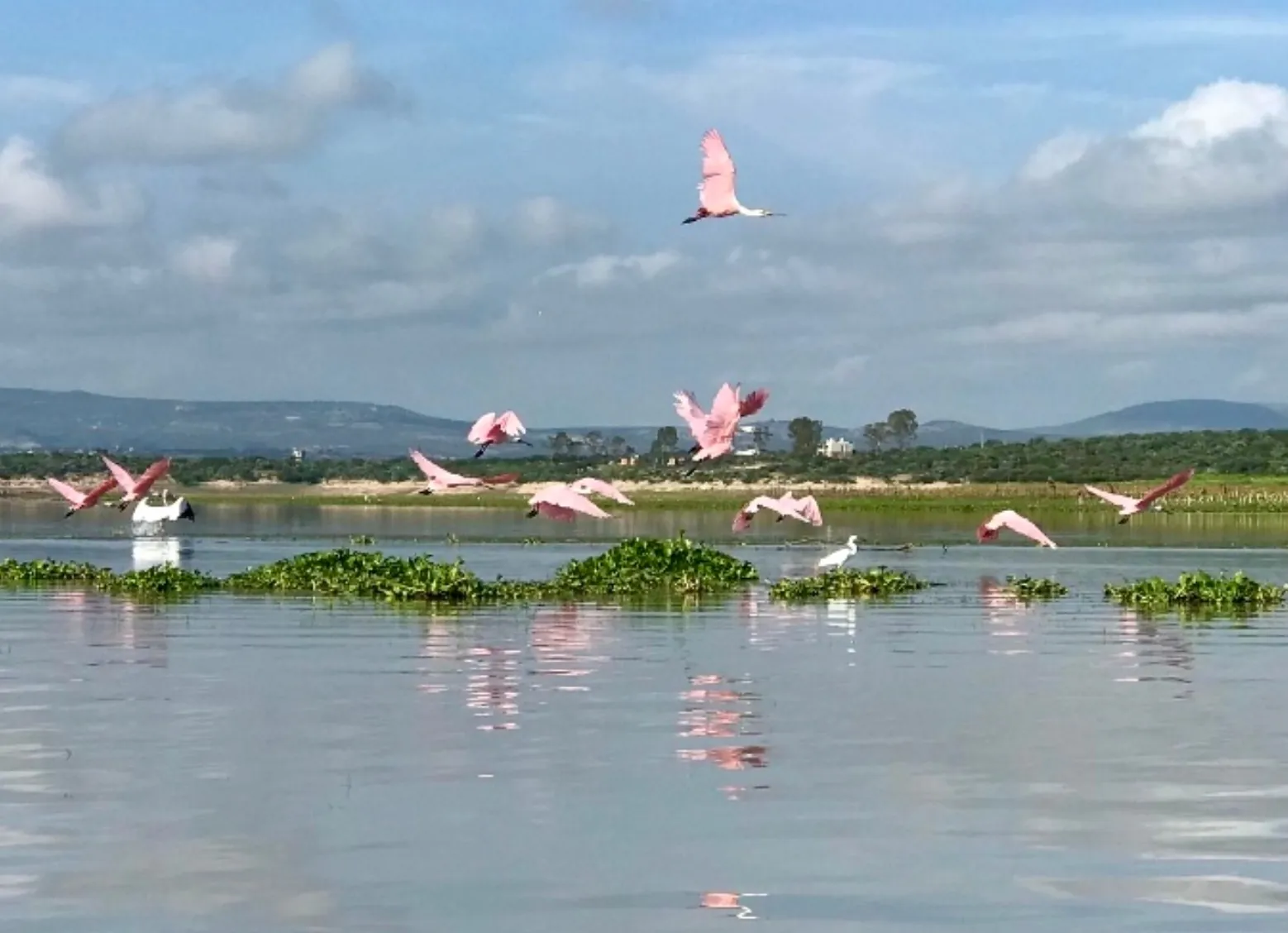 Vista panorámica de la Presa Ignacio Allende
