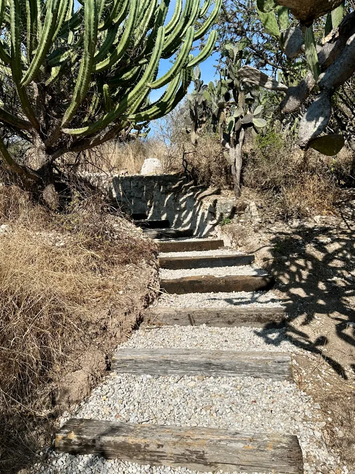 Aves migratorias en la presa